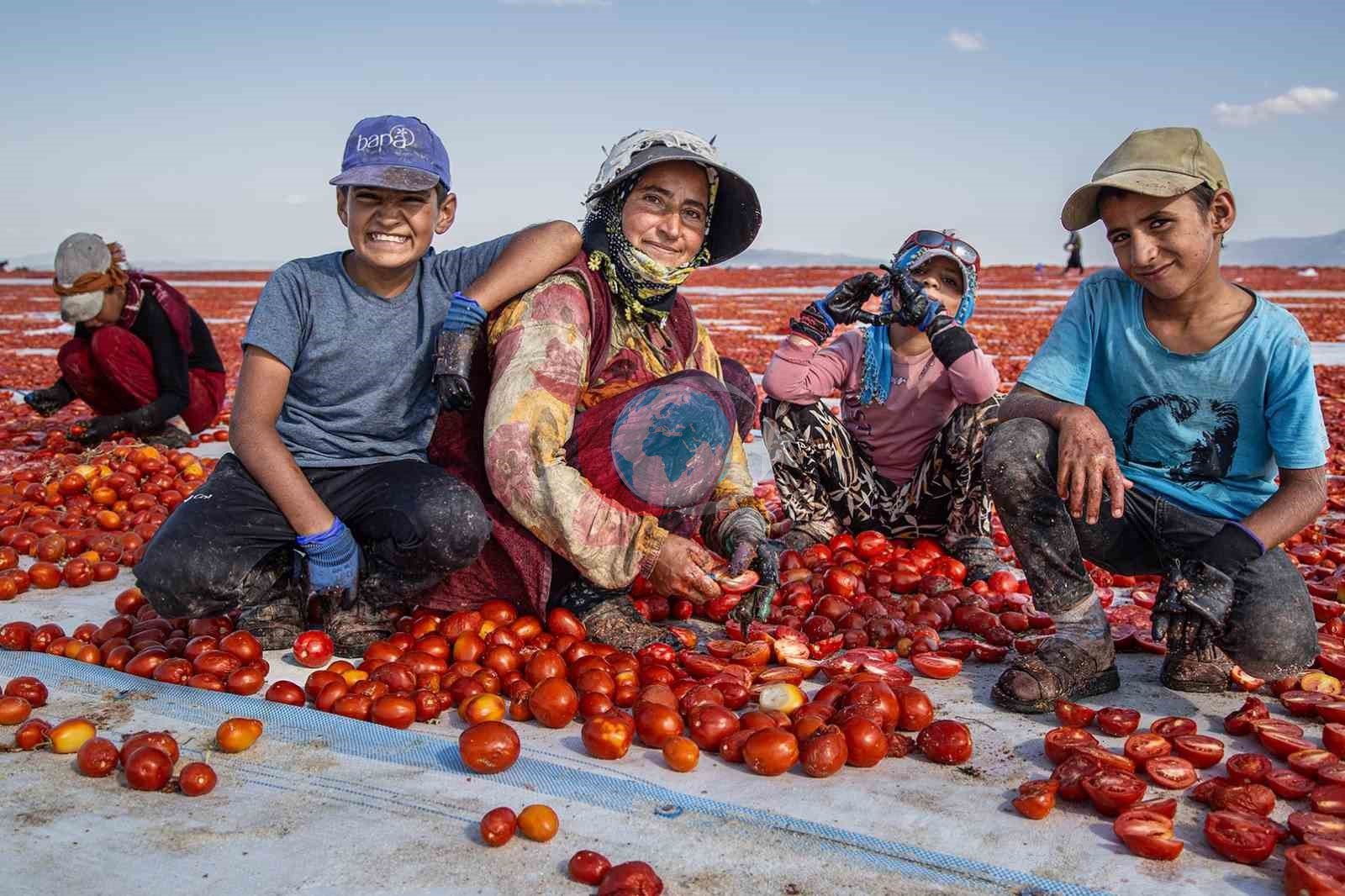 MUFSAD&rsquo;ın fotoğraf yarışmasında Manisalı fotoğrafçılar damga vurdu