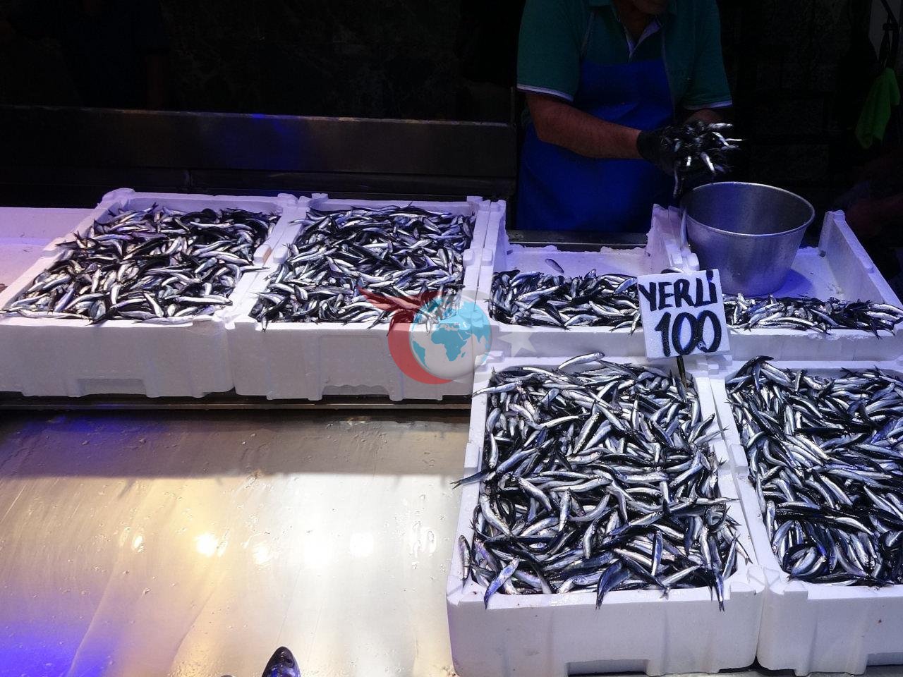 Türkiye'den 2.7 milyar dolarlık hamsi ihracatı