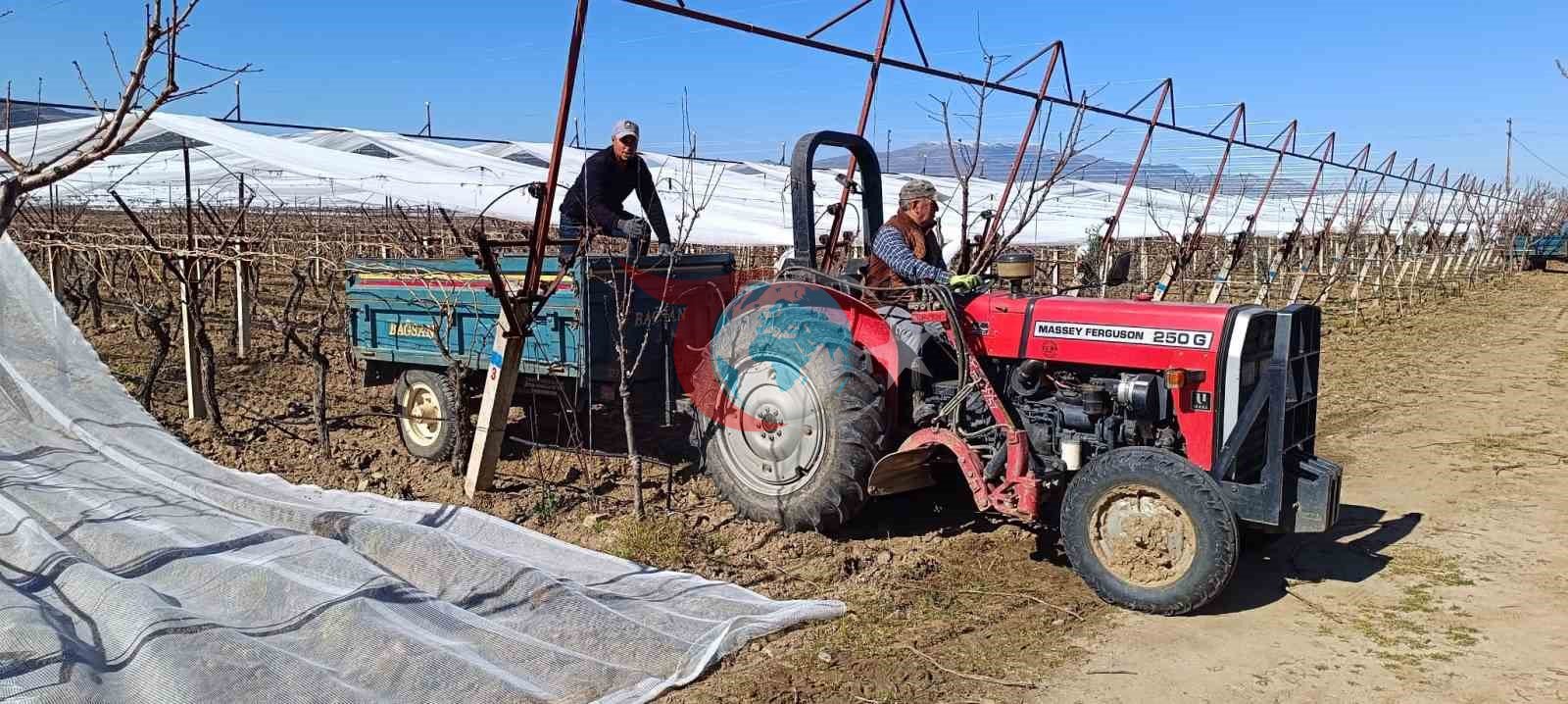 Sarıgöl&rsquo;de üzüm bağları doluya karşı fileyle korunuyor