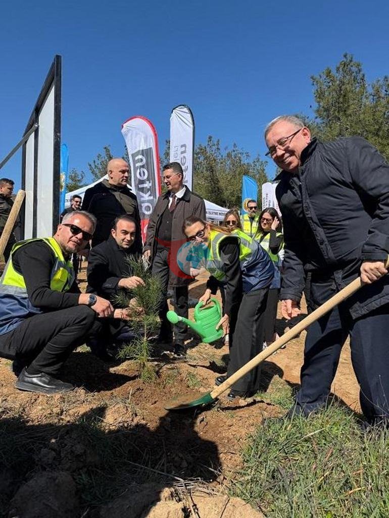 Tekirdağ Şarköydeki yanan ormana 10 bin fidan dikildi