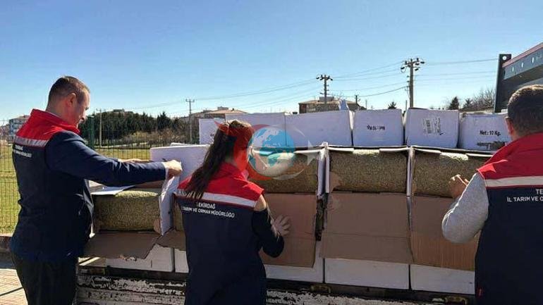 Bayram sofralarına gidecekti Tonlarca aflatoksinli baklava fıstığı yolda ele geçirildi