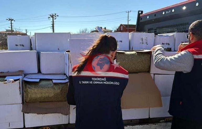 Bayram sofralarına gidecekti Tonlarca aflatoksinli baklava fıstığı yolda ele geçirildi