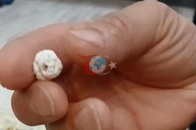 Leblebinin içinden çıktı, şoka girdi Sanki ölüm tuzağı