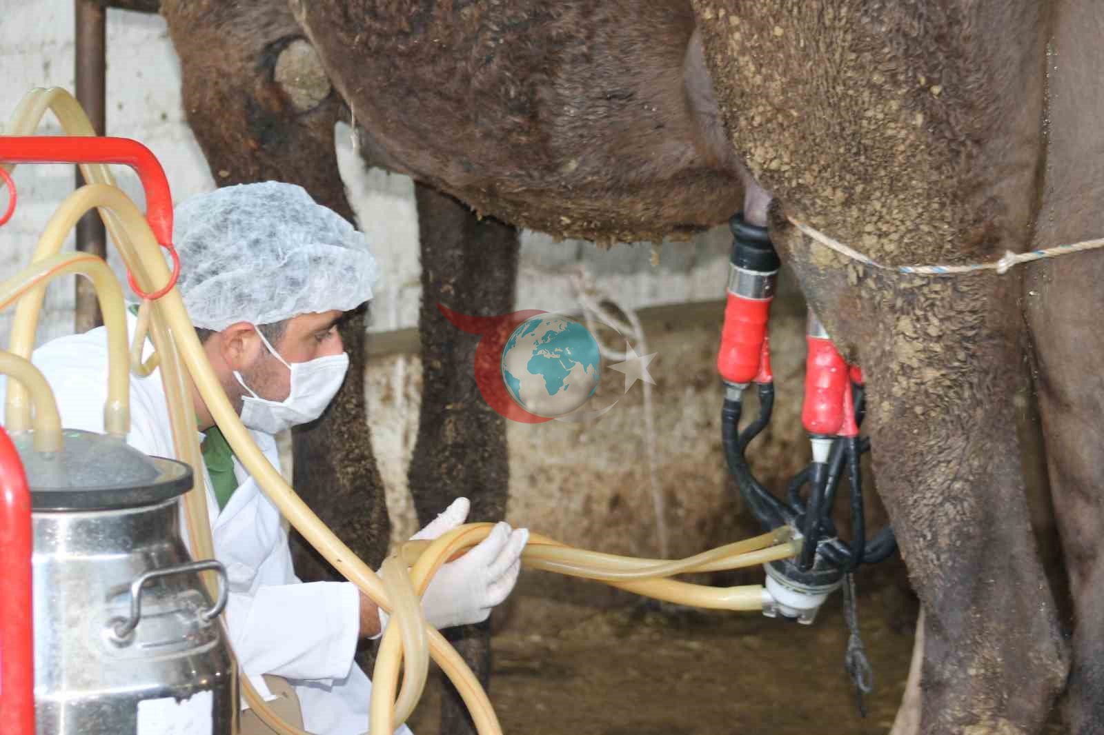 𐰓𐰀𐰋𐰀 𐰾𐰇𐱅𐰇 𐰃𐰠𐰀 𐰍𐰃𐰑𐰀 𐱅𐰀𐰚𐰣𐰆𐰞𐰲𐰃𐰾𐰦𐰀 𐰲𐰃𐰍𐰺 𐰀𐰲𐰣 𐰯𐰺𐰆𐰲𐰀