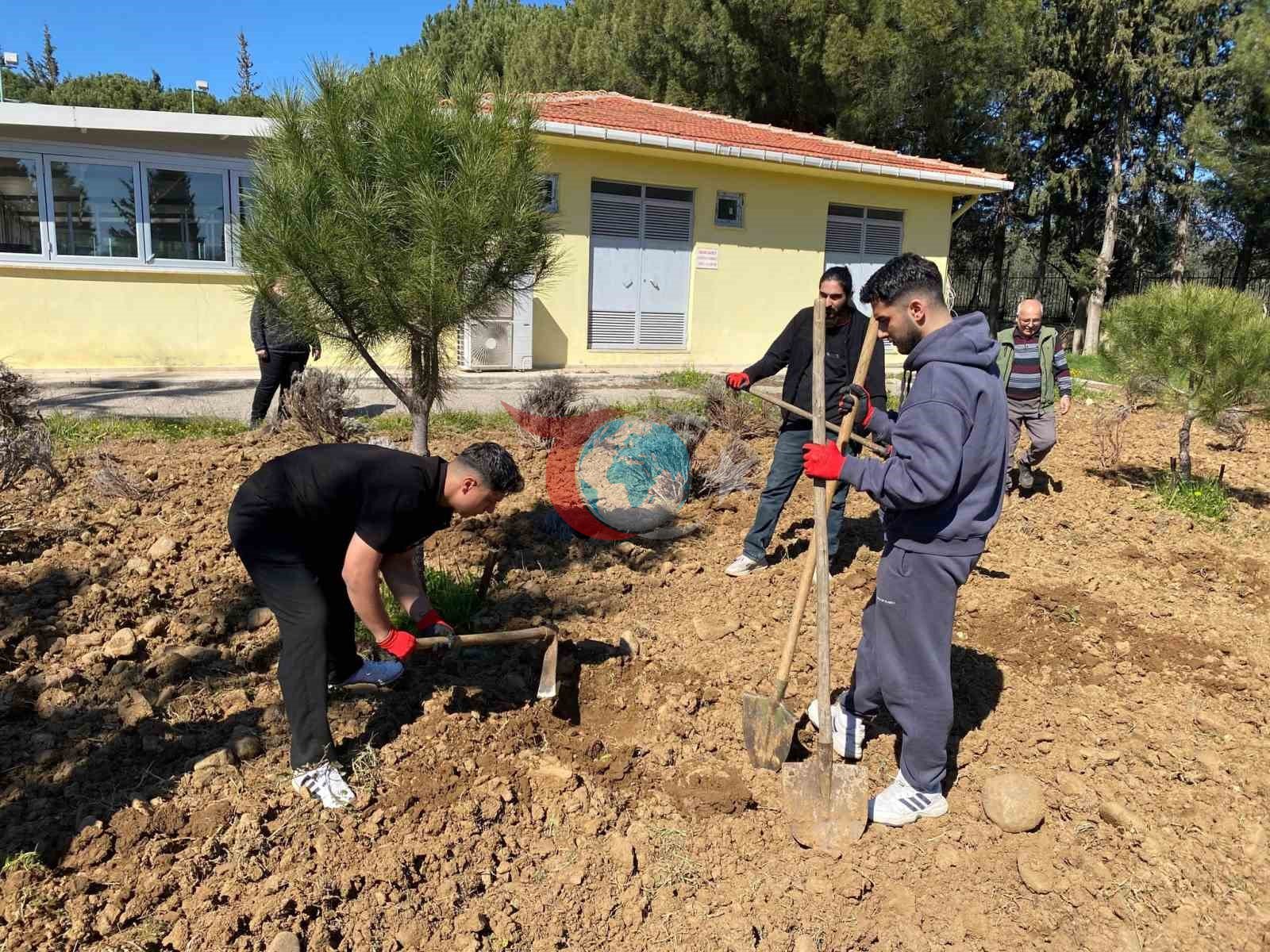 Edremit Meslek Yüksekokulu’nda lavanta bahçesi için dikim çalışmaları başladı