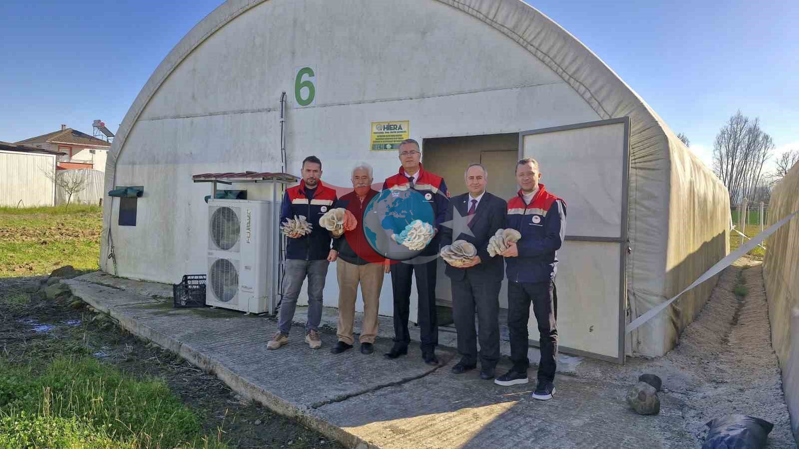 รarลambaโda istiridye mantarฤฑ รผretimi artฤฑyor