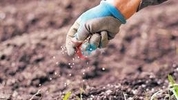 Gübre savaşa takıldı sofrada fiyatlar arttı