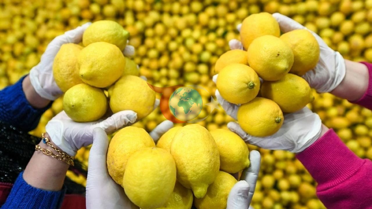 Limon İthalatında Gümrük Vergisi Düşürüldü - Şanlıurfa Olay