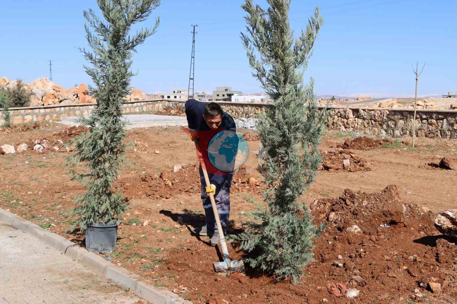 Yukarıgöklü Kent Parkı Yeni Ağaçlarla Canlanıyor