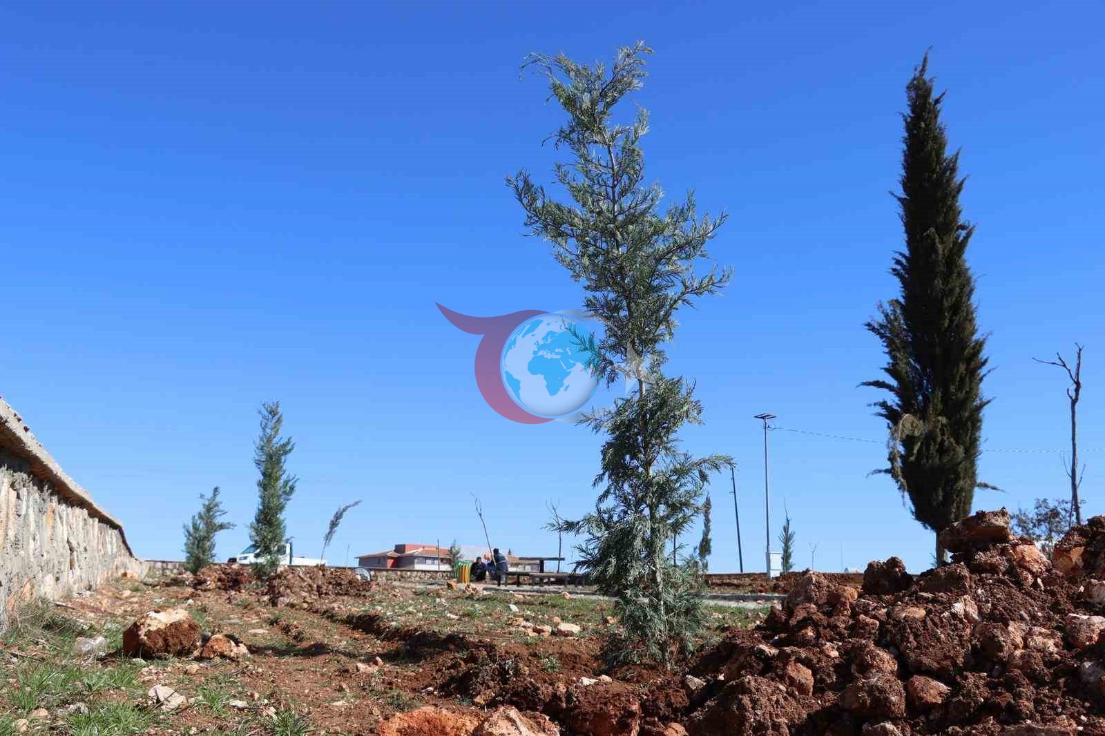 Yukarıgöklü Kent Parkı yeşile bürünüyor