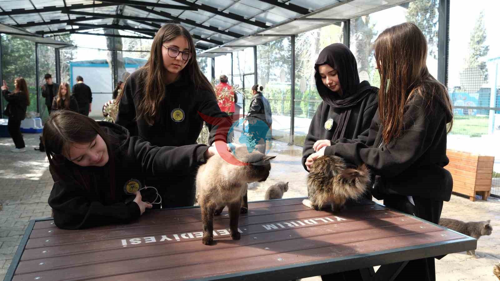 Osmangazi Gençleri Patili Dostlarla Buluştu