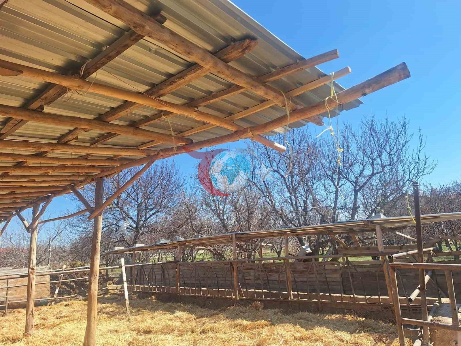 Konya’da sosyal medyaya yansıyan hayvancılık işletmesi görüntülerine inceleme