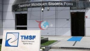 TMSFden ticari ve iktisadi bütünlük satışı