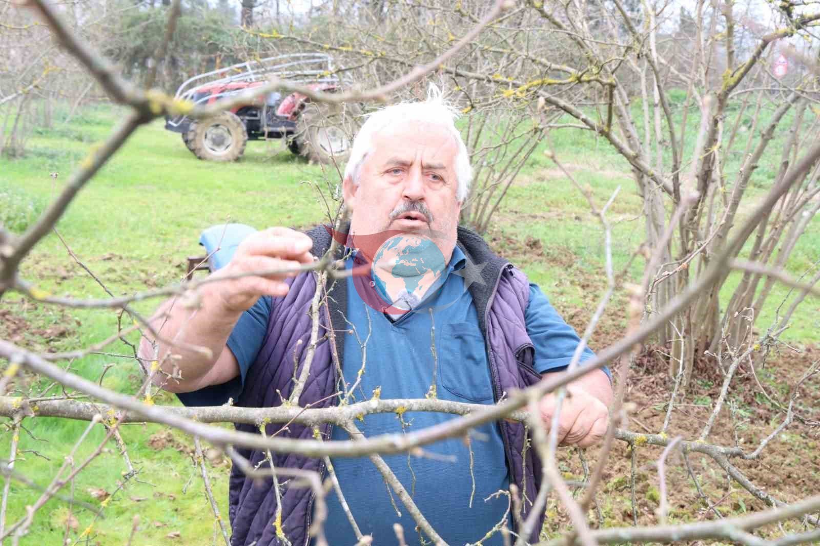 Kocaeli&rsquo;de hibeli gübrelerini alan çiftçiler tarlada mesaiye başladı