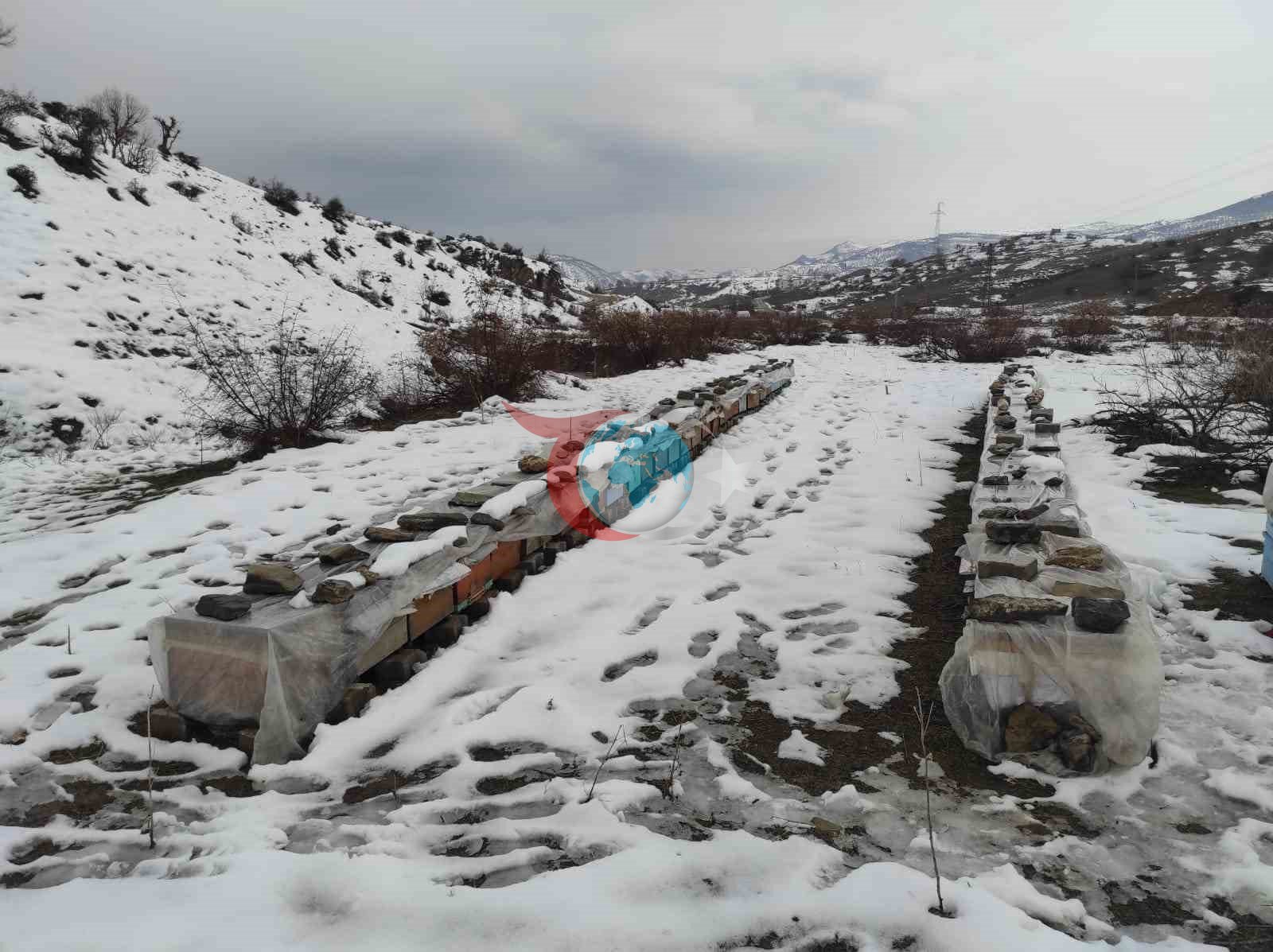 Birincilik getiren arılarını kış şartlarında özenle koruyor