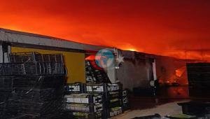 Antalyada muz paketleme ve sarartma tesisinde yangın