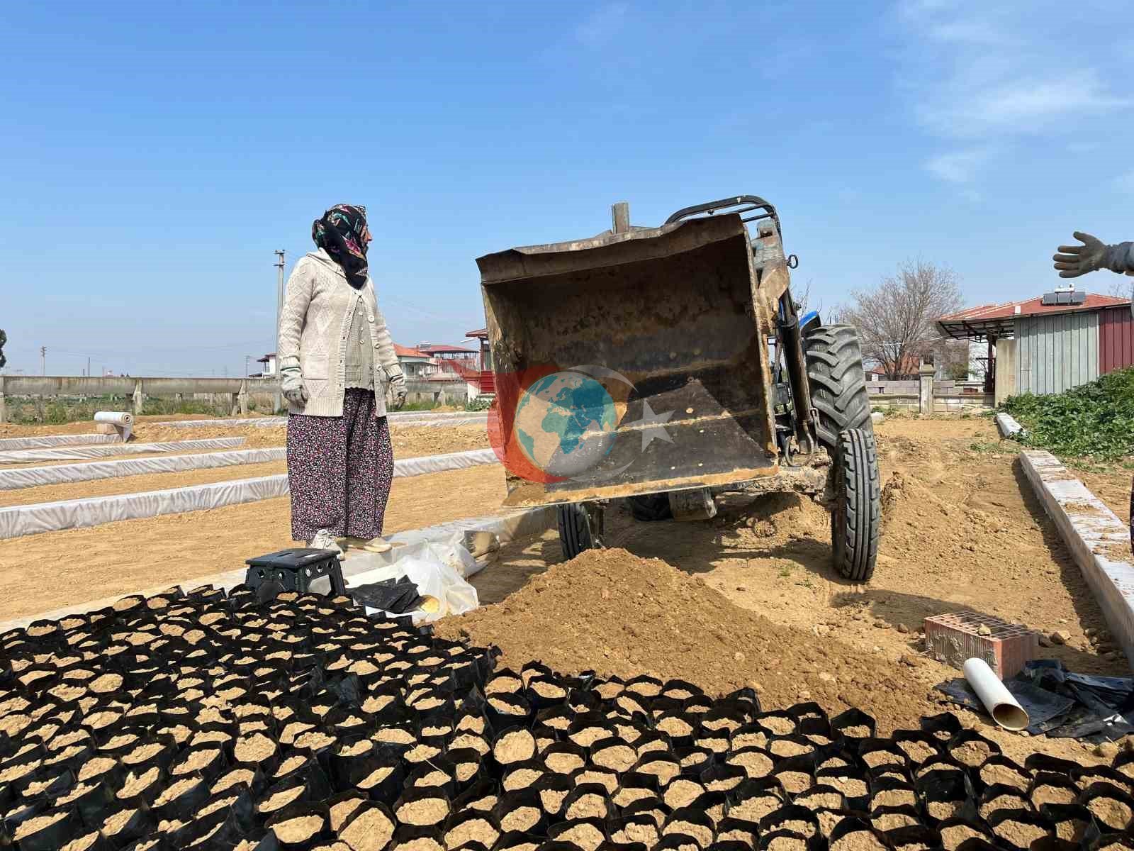 İki kardeşten üzüm fidanında büyük başarı