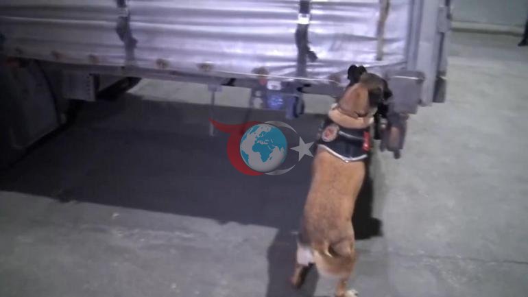 İstanbulda 4 tırda 527 kilo 475 gram uyuşturucu ele geçirildi