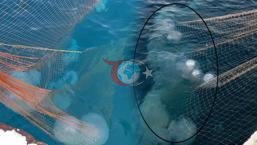 Dev yaratฤฑklar Antalya'da! Balฤฑkรงฤฑlar aฤlarฤฑ gรถrรผnce inanamadฤฑ: โSakฤฑn dokunmayฤฑnโ