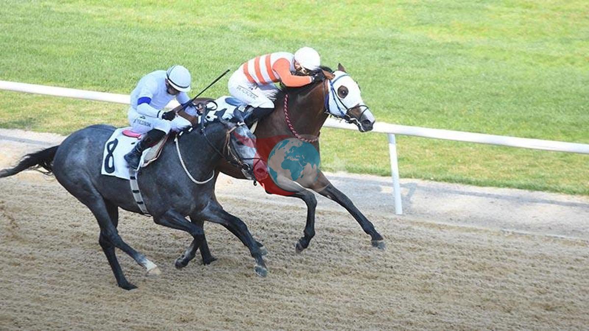 İzmir'de 64. Hipodrom.com Ege Derbisi'ni Kazanan The Protecter Oldu