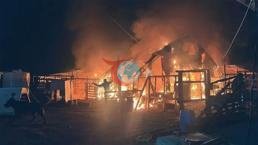 Bursa'daki çiftlikte feci yangın! 580 hayvan öldü