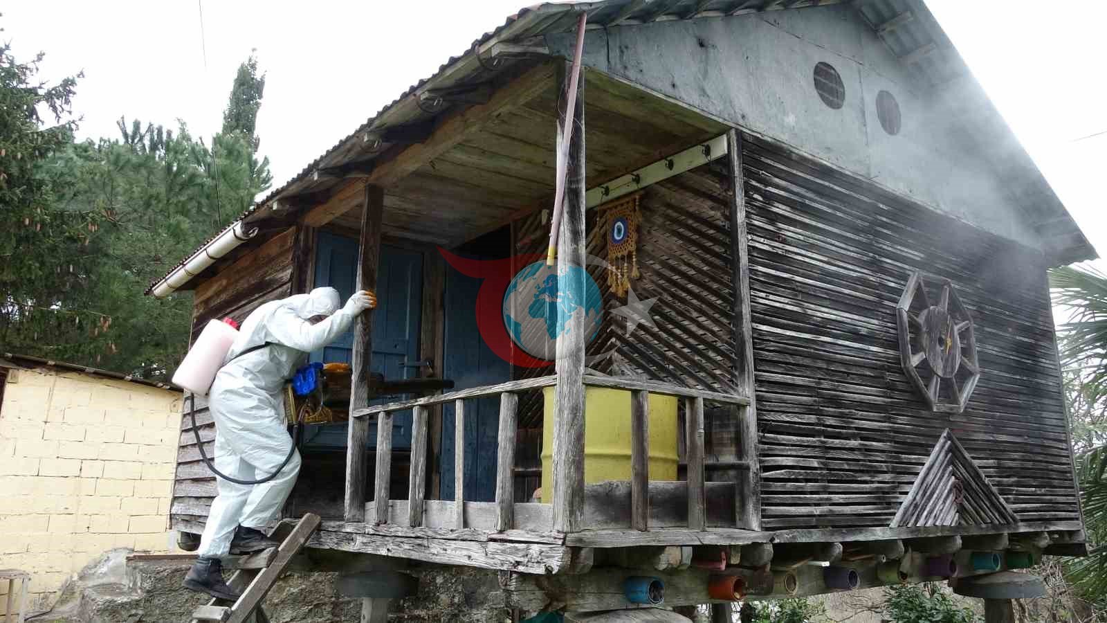 Ordu’da kahverengi kokarca ile kışlak mücadelesi: 330 bin noktadan 190 bini ilaçlandı