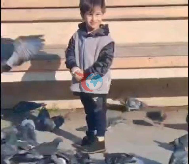 Güvercinleri besledi, can verdi Baba olay gününü anlattı: Ben aileme nasıl bakacağım