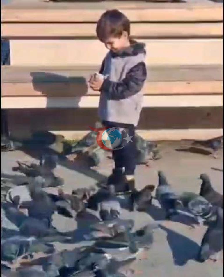 Güvercinleri besledi, can verdi Baba olay gününü anlattı: Ben aileme nasıl bakacağım