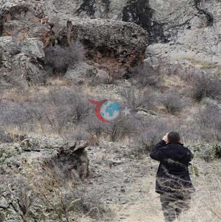Doğada fotoğraf çekerken gördüğü manzara şoke etti