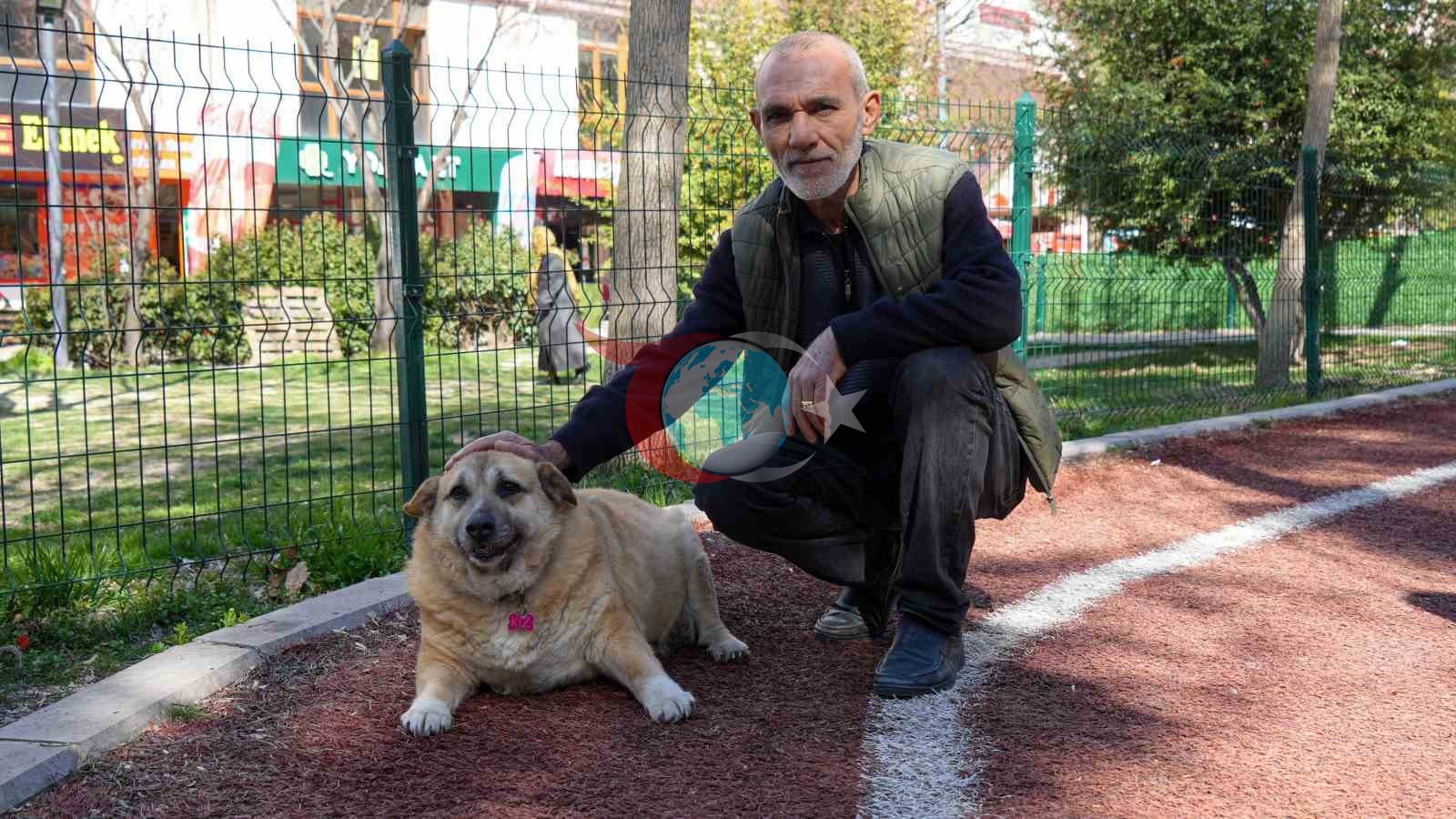 13 yaşındaki obez köpek &rsquo;Kız&rsquo;, yürüyüş yaparak zayıflıyor