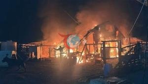 Bursadaki çiftlikte feci yangın 580 hayvan öldü
