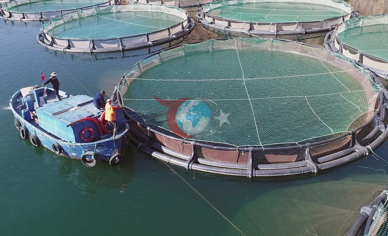 'Ege'de ihracatın 'yükselen yıldızı': Herkes düşerken bir il başardı