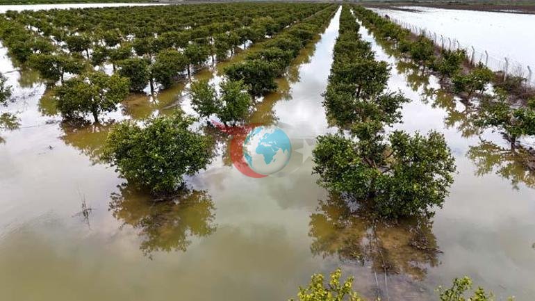 3 günlük yağış felakete dönüştü: Hepsi çürüyecek
