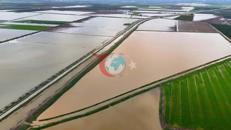 3 günlük yağış felakete dönüştü: Hepsi çürüyecek