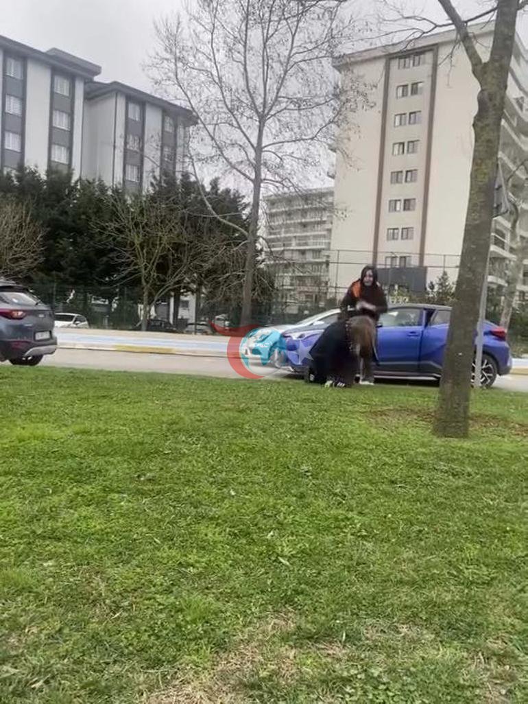 Yer: Pendik Ejderha Kadınların kavgası sosyal medyada olay oldu