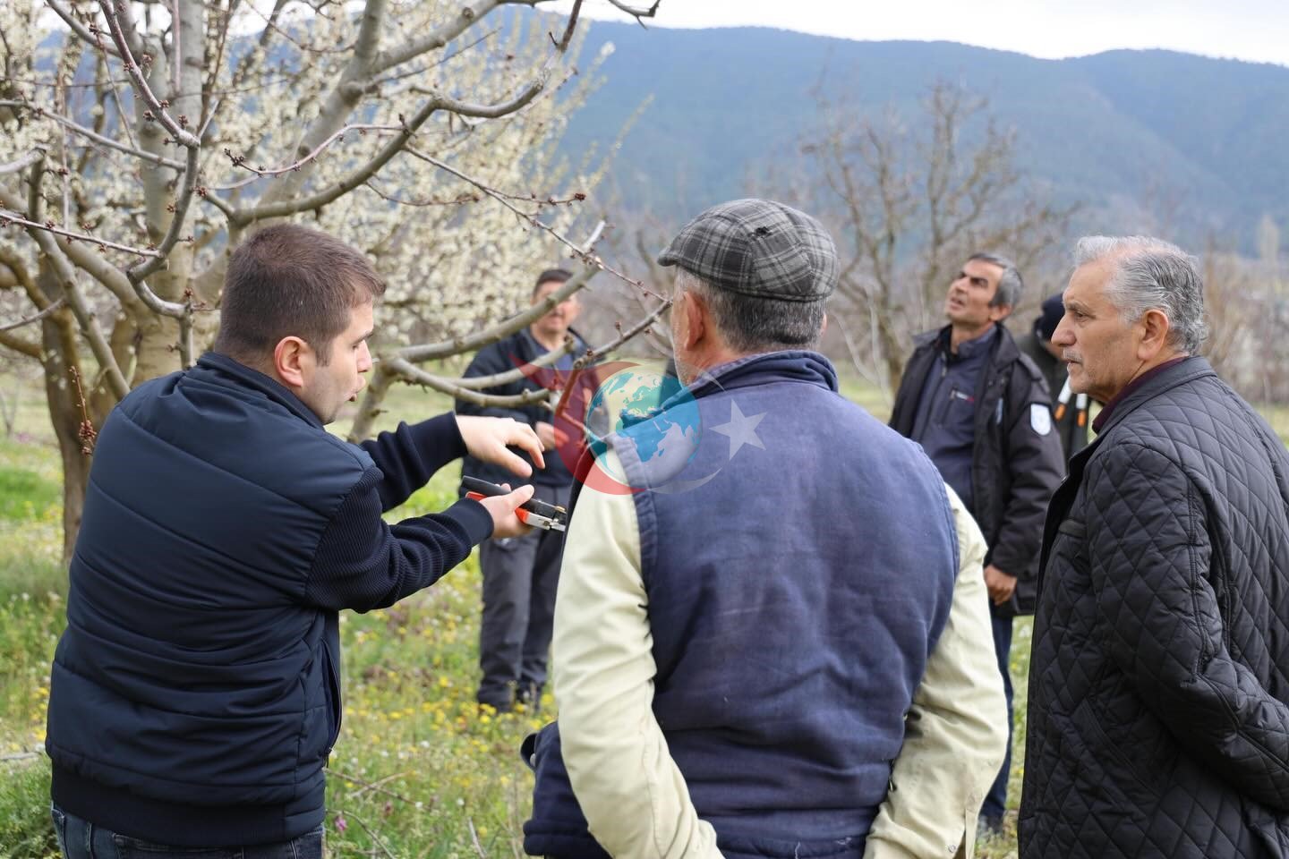 Bilecik&rsquo;te budama kursu düzenlendi