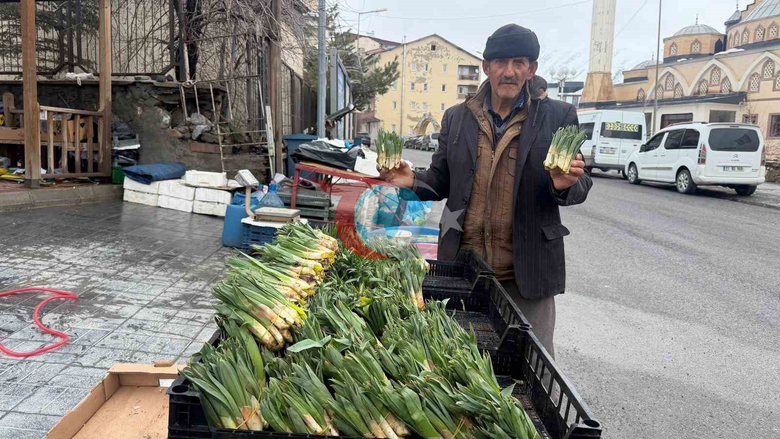 Hakkari'de Baharın İlk Müjdecisi: Çiriş Otu Pazarlarda
