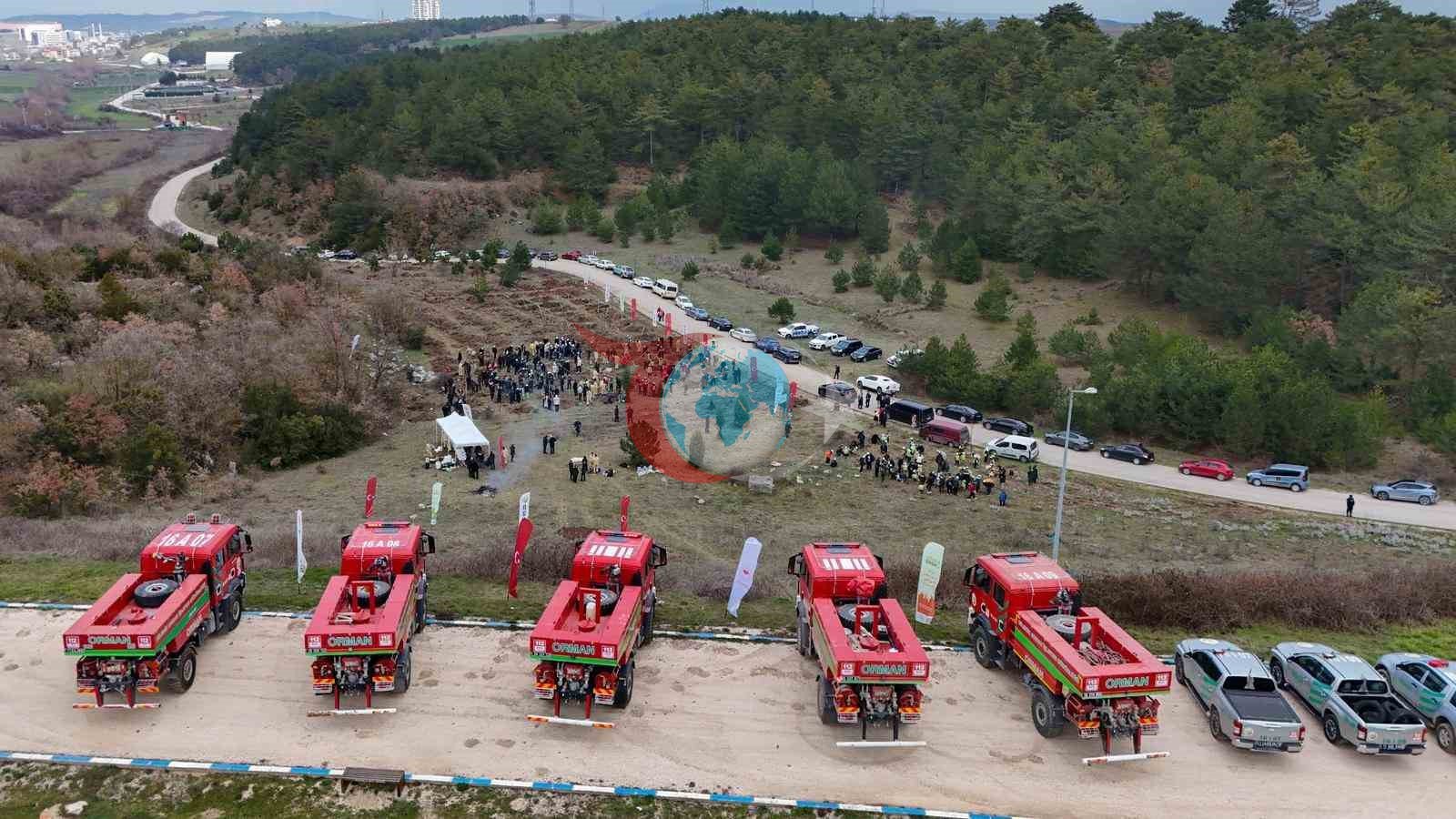 Şeyh Edebali&rsquo;nin vefatının 700. yıl dönümünde 700 çınar toprakla buluştu
