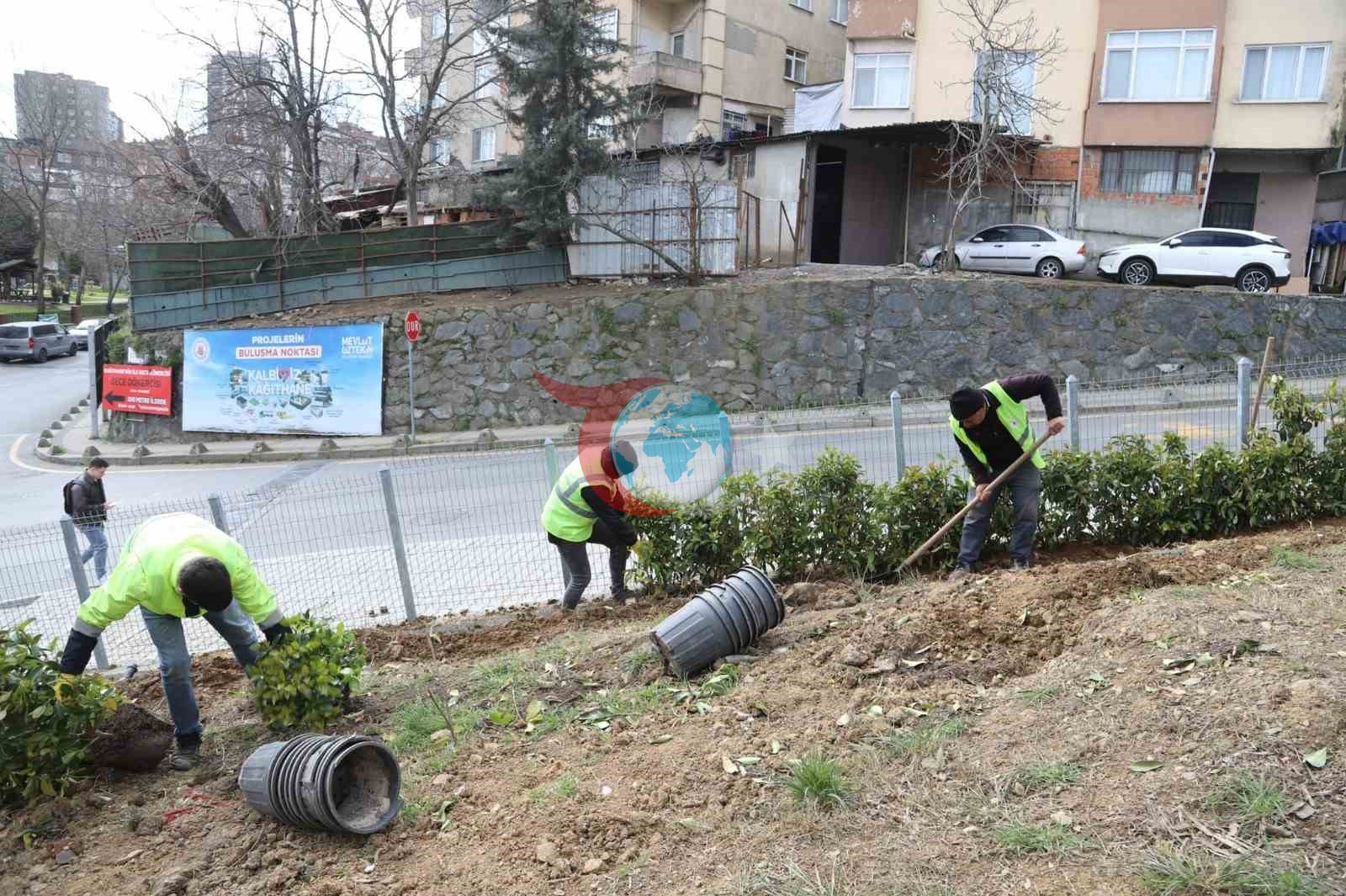 Kağıthane’de yeşil alanlarda bakım ve düzenleme çalışmaları sürüyor