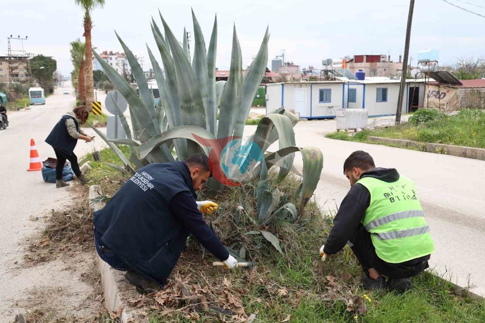 Hatay Büyükşehir Belediyesi bitkide dışa bağımlılığı en aza indirmeyi hedefliyor