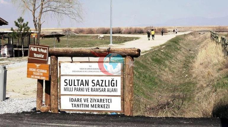 Kayseri’de flamingo şöleni: Hürmetçi ve Sultan Sazlığı’nda binlerce kuş görüntülendi