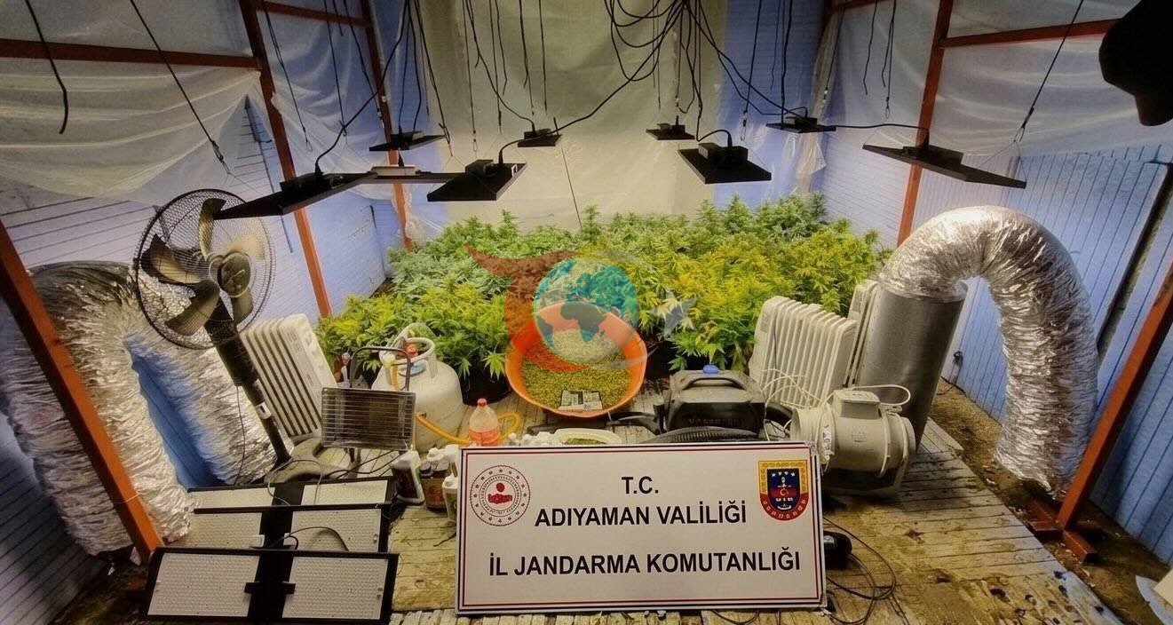 Jandarmadan uyuşturucu operasyonu: 1 gözaltı
