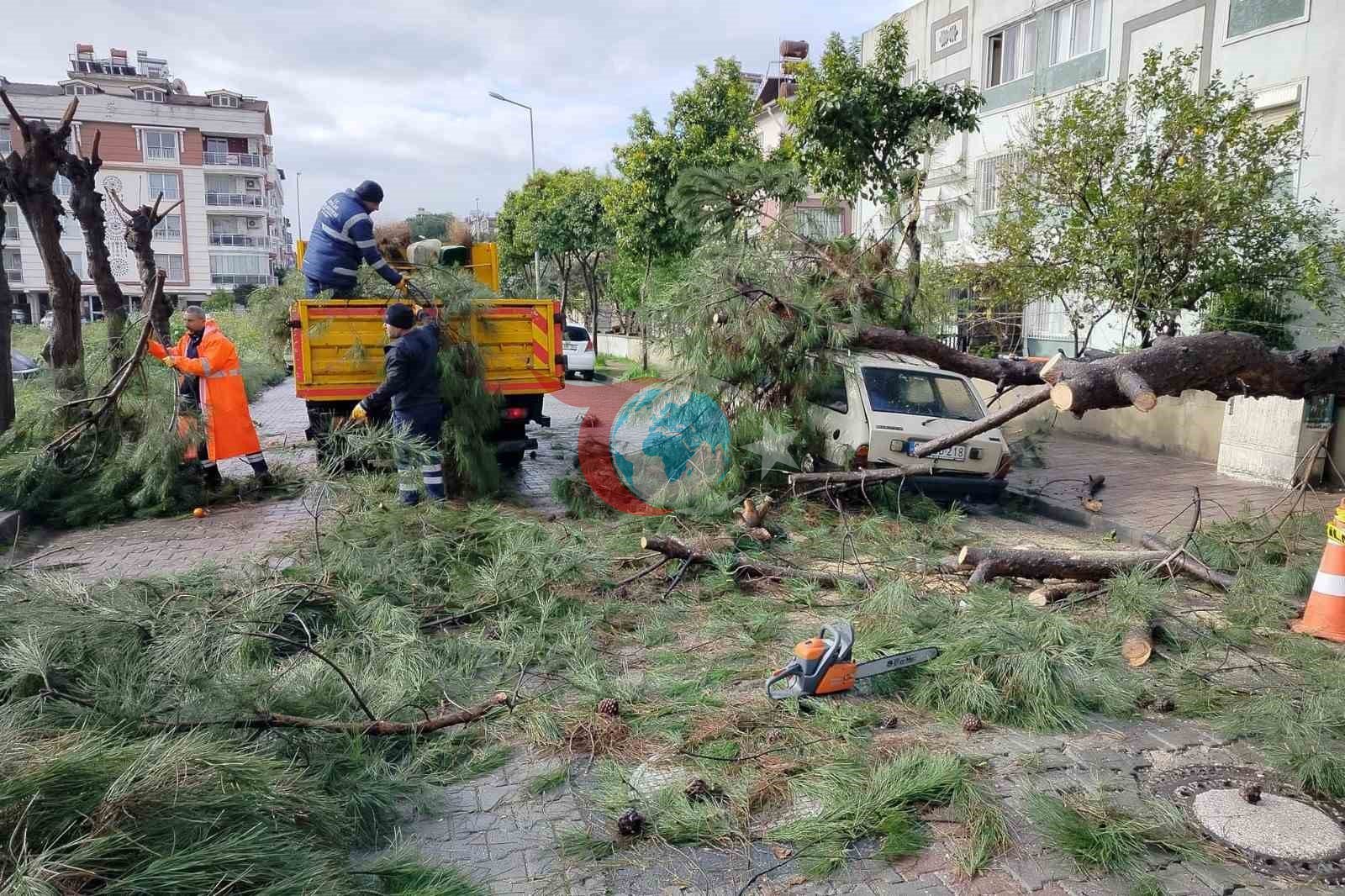 Aydın'da Fırtına Nedeniyle Ağaç Aracın Üzerine Devrildi
