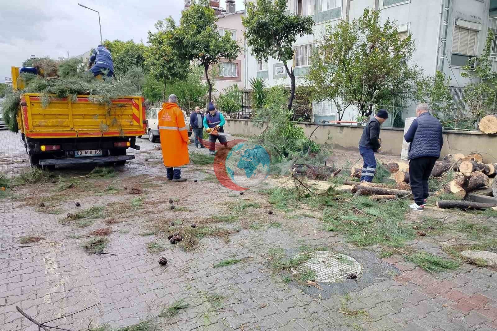 Üzerine ağaç devrilen park halindeki araç zarar gördü