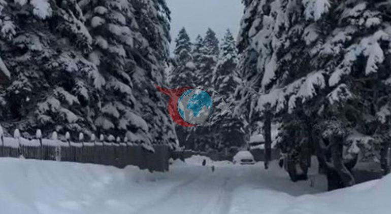 Bursa’da sel ve heyelan dehşeti Kar 2 metreyi aştı, Nilüfer Çayı taştı