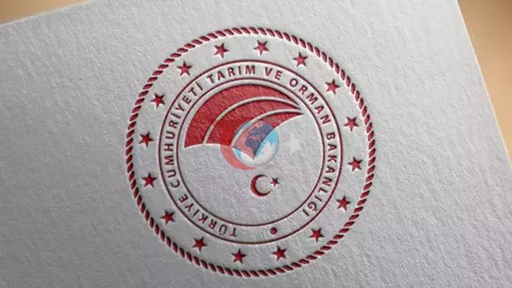 Ekmek ve Un Üretiminde Renk Veren Maddeler Yasaklandı