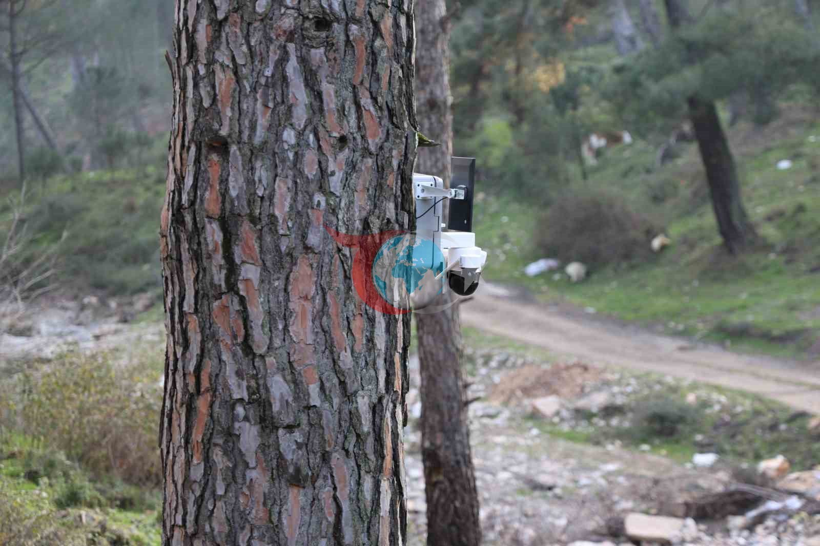 Çam Fıstığı Üreticileri Güvenlik Kameralarıyla Hırsızlığa Karşı Önlem Alıyor