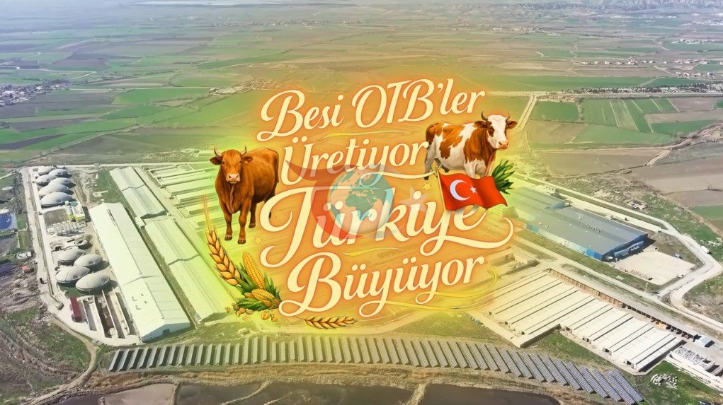 Suluova Besi OTB, Kırmızı Et Üretiminde Öncü Rol Üstleniyor