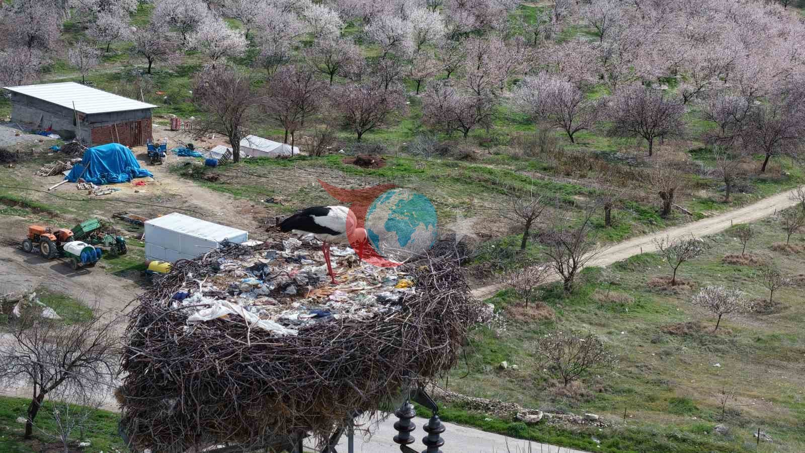 Sadık Leylek, 10 Yıldır Aynı Yuvaya Dönüyor