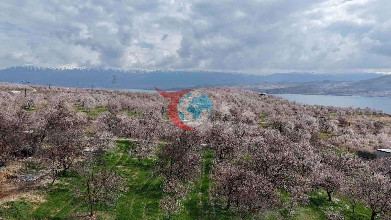 Sadık misafir leylek 10 yıldır yolunu şaşırmıyor